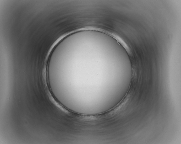 X0000111581100200907301359