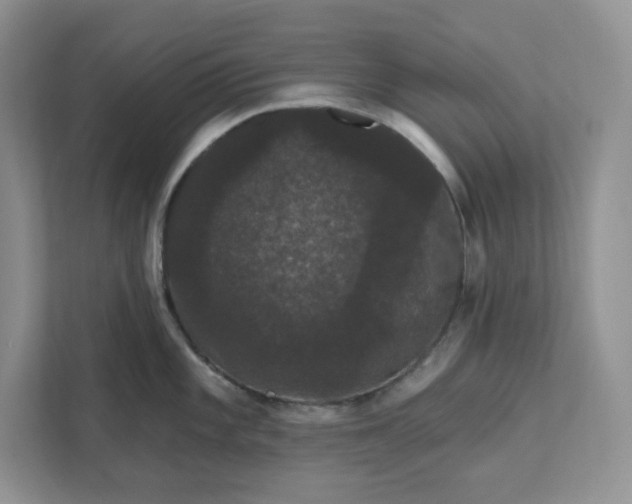 X0000111581101200907301359