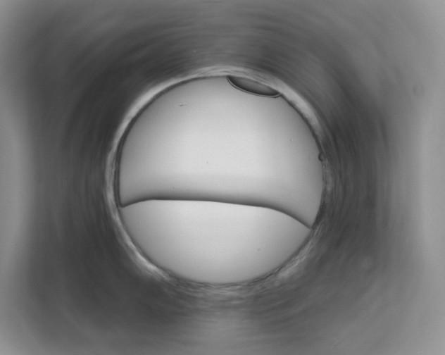 X0000111581102200907301359