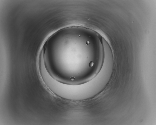 X0000111581104200907301359