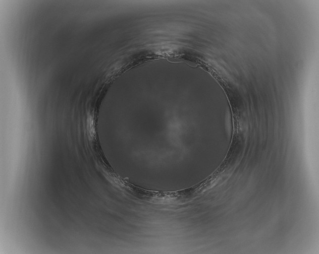 X0000111581106200907301358