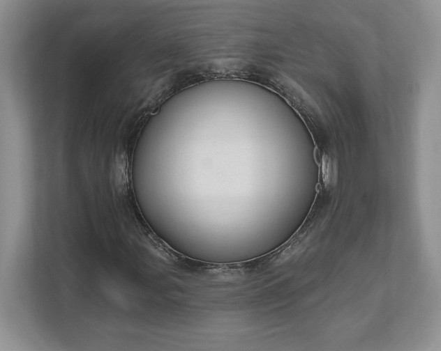 X0000111581107200907301358