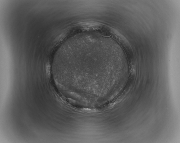 X0000111581108200907301358