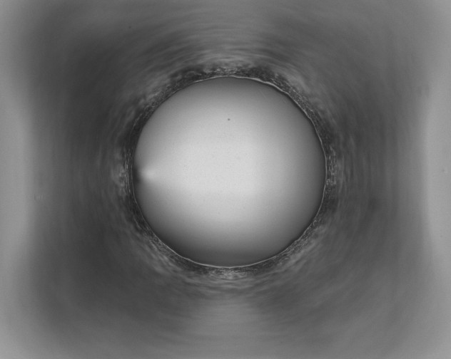 X0000111581109200907301358