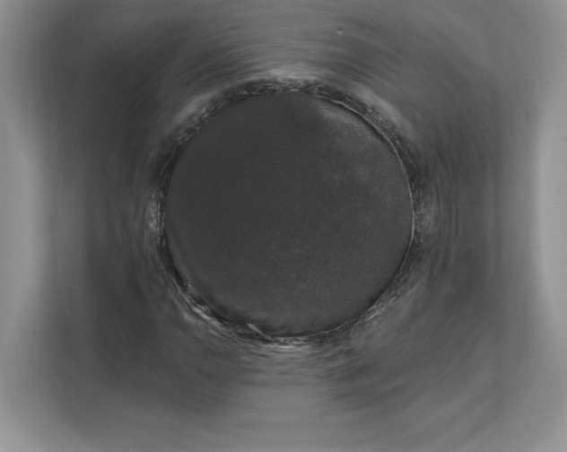 X0000111581110200907301358