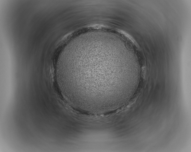 X0000111581111200907301358