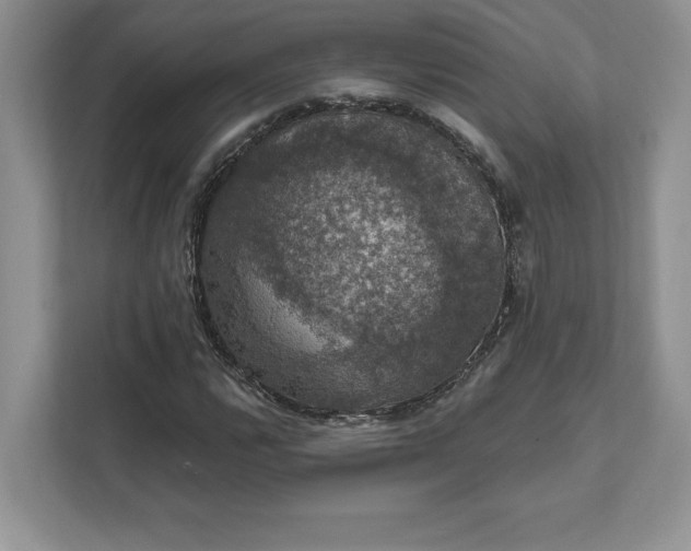 X0000111581112200907301359