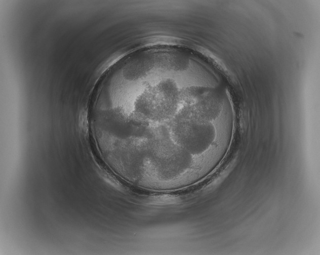 X0000111581113200907301359