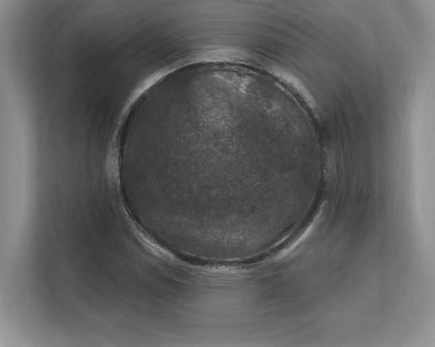 X0000111581114200907301359