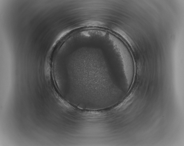 X0000111581115200907301359