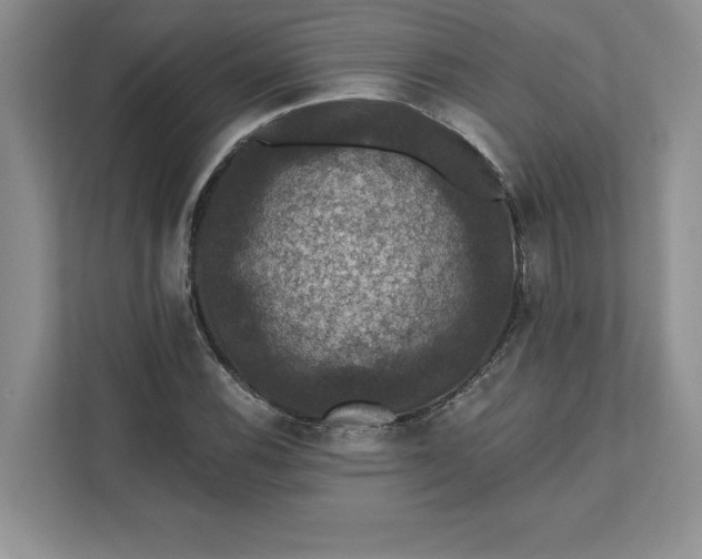 X0000111581116200907301359