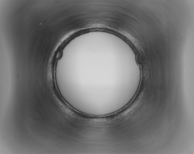 X0000111581118200907301359