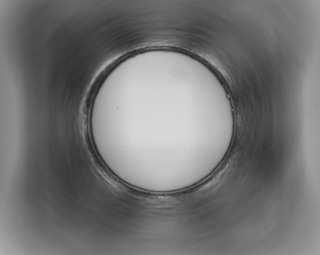 X0000111581119200907301359