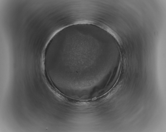 X0000111581124200907301359