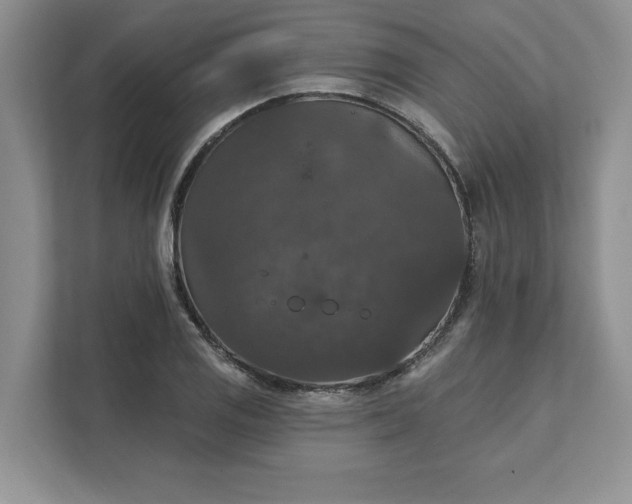 X0000111581125200907301359