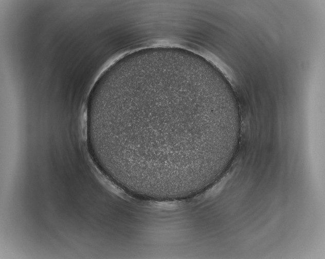 X0000111581126200907301359