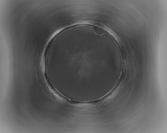 X0000111581127200907301359