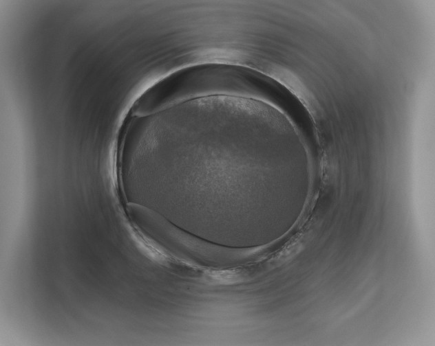 X0000111581128200907301359