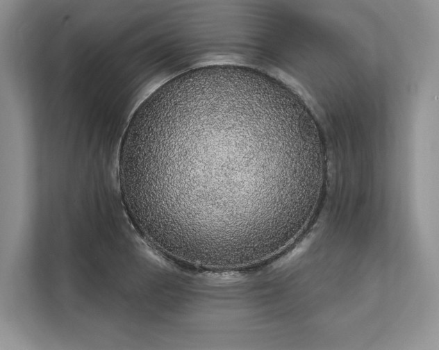 X0000111581129200907301359