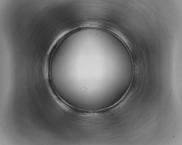 X0000111581131200907301359