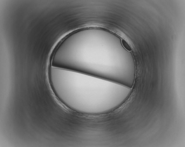 X0000111581132200907301359