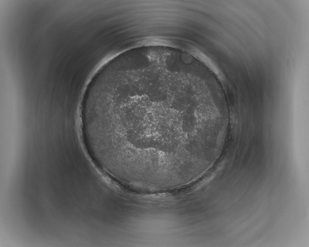 X0000111581133200907301359