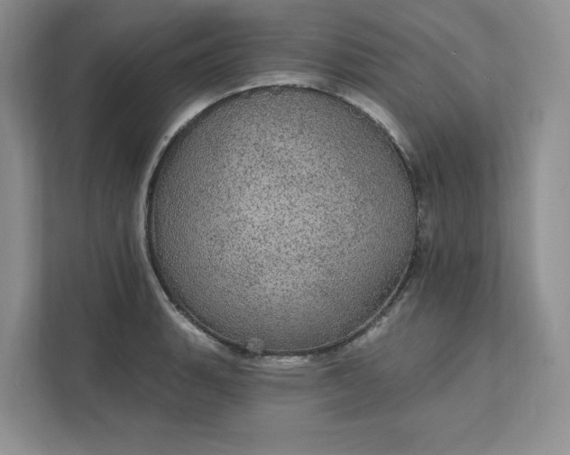 X0000111581135200907301359