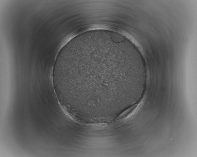 X0000111581137200907301359