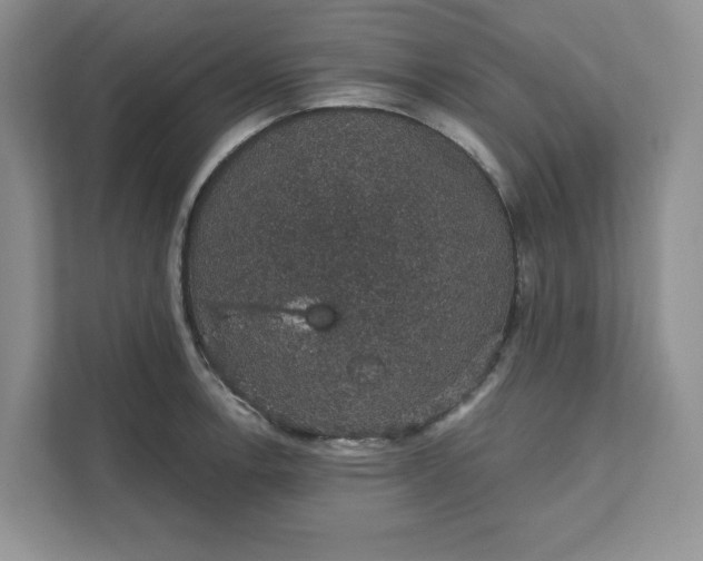 X0000111581138200907301359