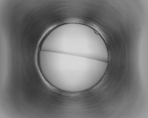 X0000111581139200907301359