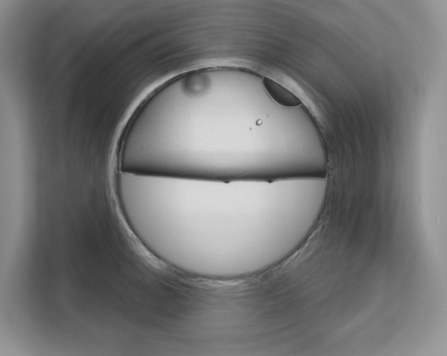 X0000111581140200907301359