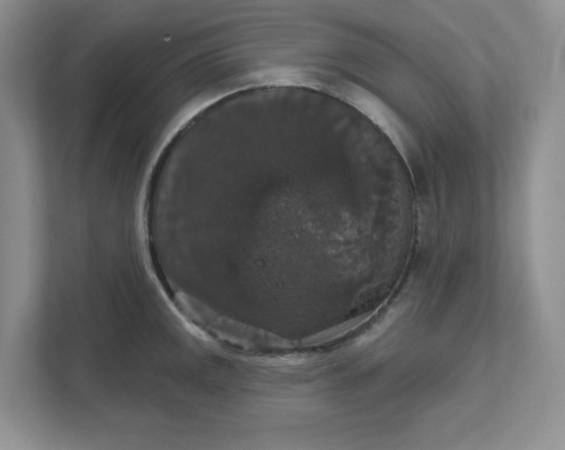 X0000111581141200907301359