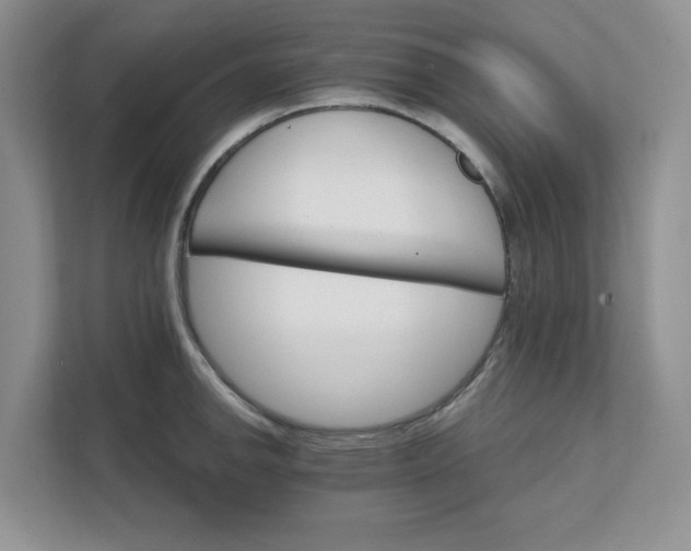 X0000111581142200907301359