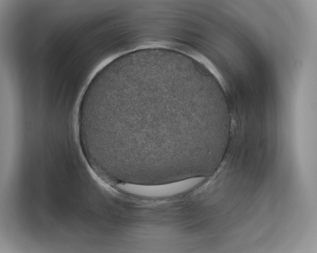 X0000111581143200907301359