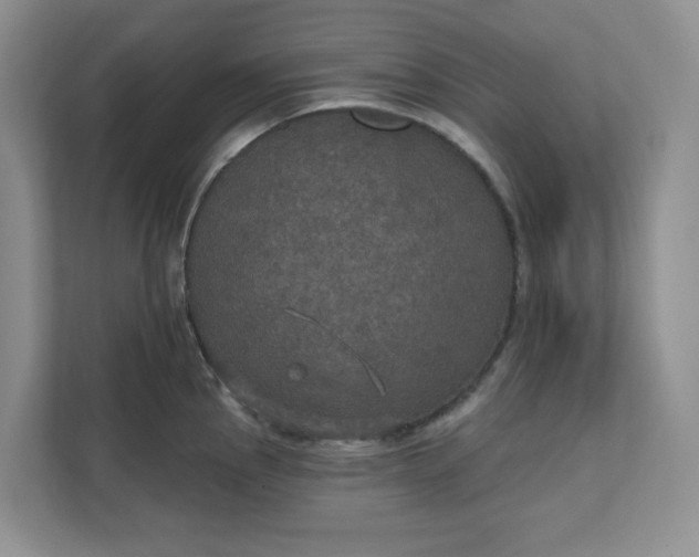 X0000111581145200907301359