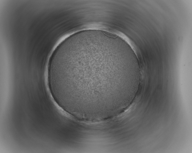 X0000111581147200907301359