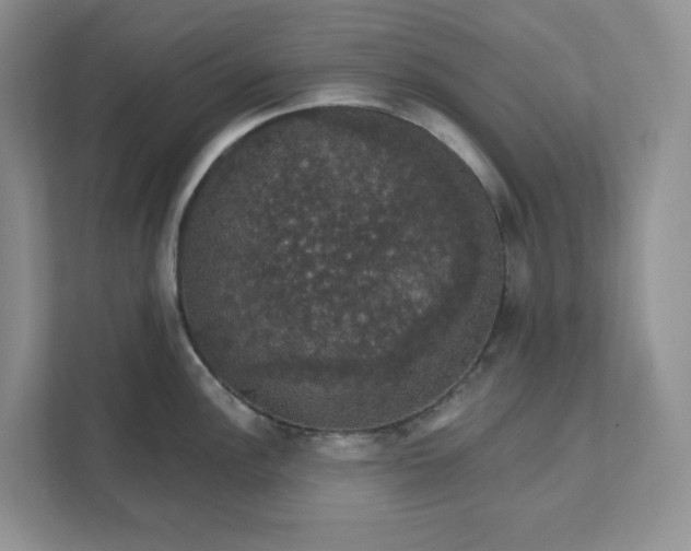 X0000111581148200907301359