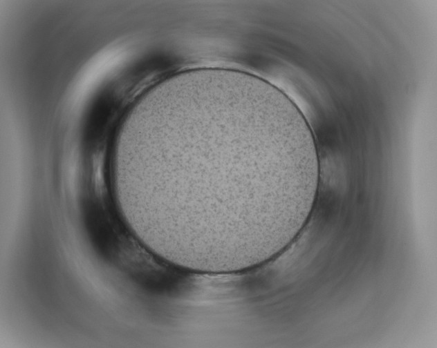 X0000111581150200907301359