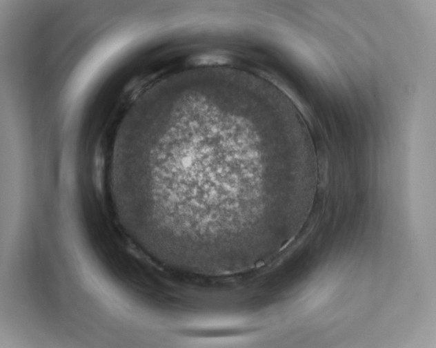 X0000111581151200907301359