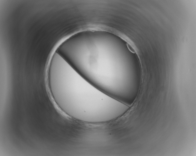 X0000111581152200907301359