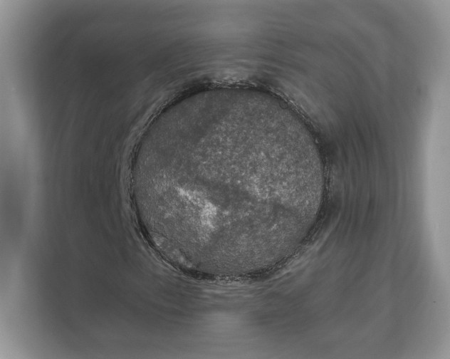 X0000111581153200907301358