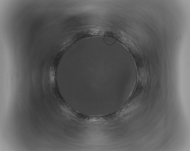 X0000111581154200907301358