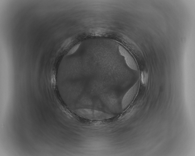 X0000111581155200907301358