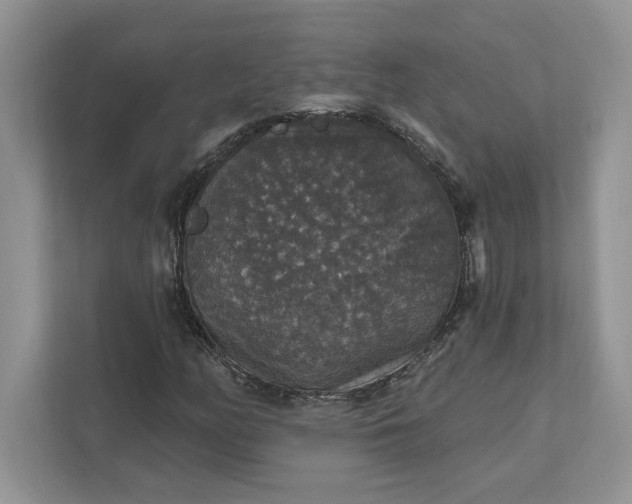 X0000111581158200907301358