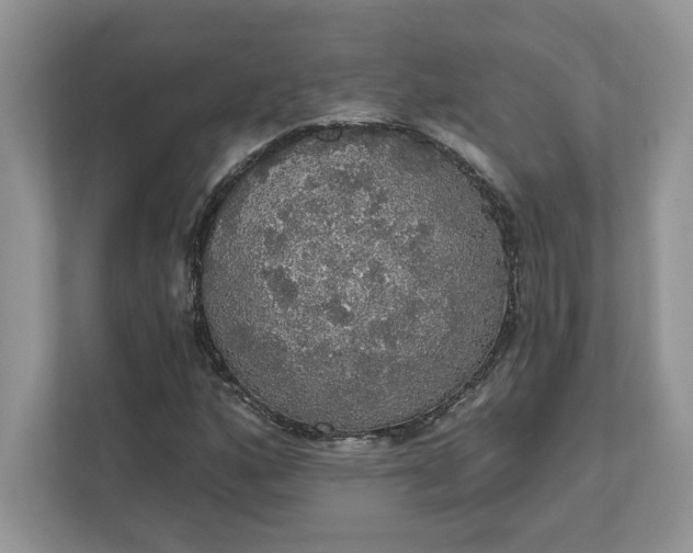 X0000111581160200907301358