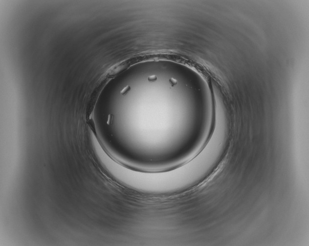 X0000111581161200907301358