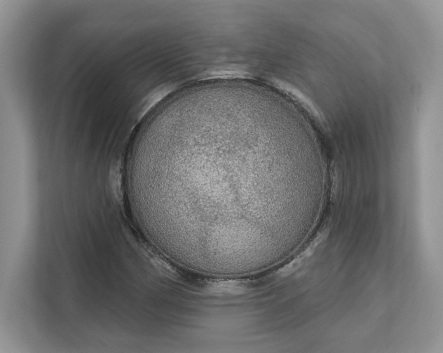 X0000111581162200907301358