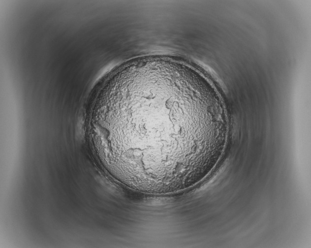 X0000111581163200907301358