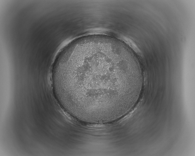 X0000111581164200907301358