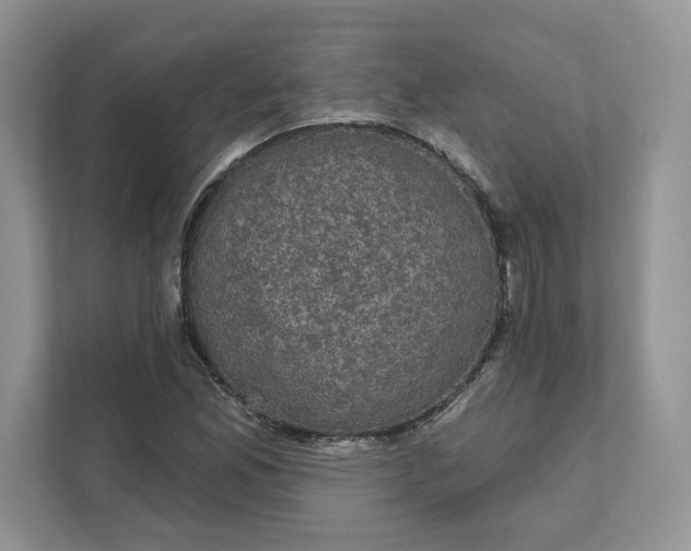 X0000111581165200907301358